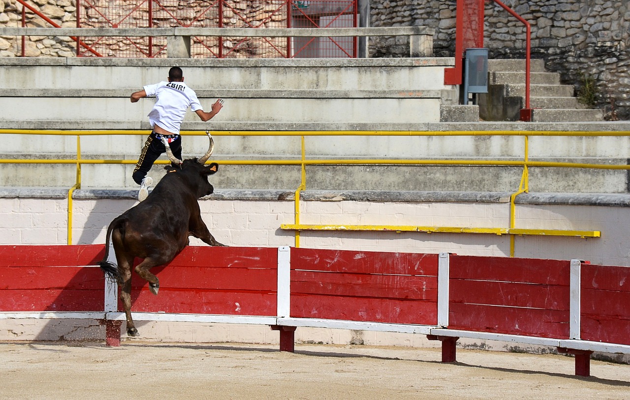 鲁梅尼格也