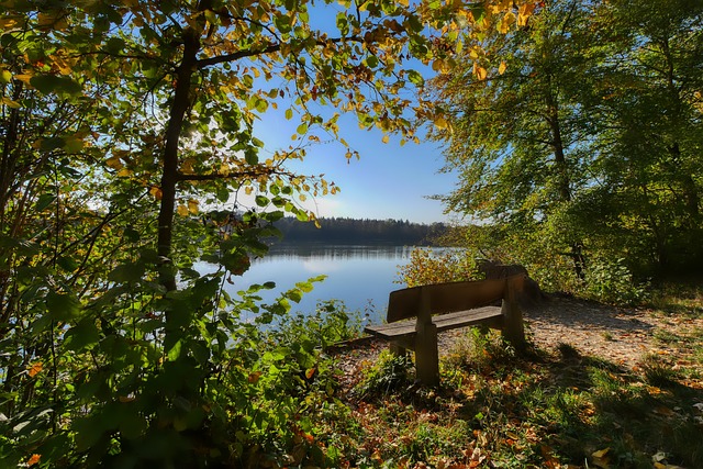 这一表现无 这一表现无