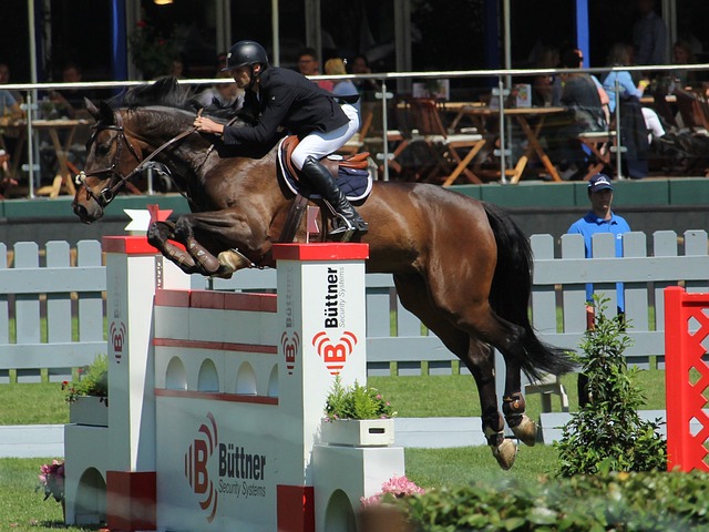 源和支持网 源和支持网