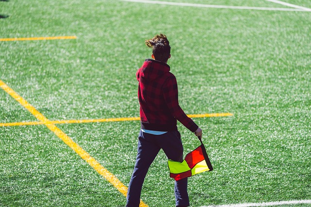 成了一系列 成了一系列