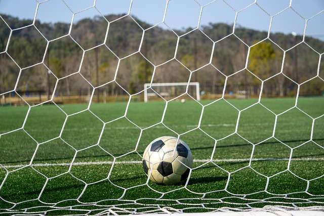 我的坚信和 我的坚信和