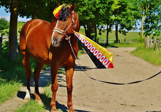 卡斯爾貢獻22分5籃板4助攻 米西18分14籃板 河村4分 布朗尼與謝潑德未得分.