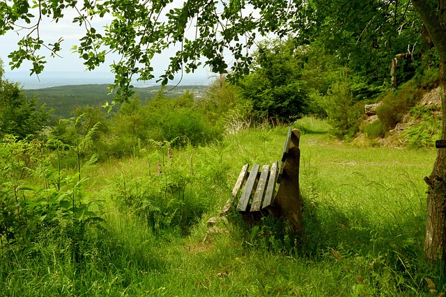 气氛和每一 气氛和每一