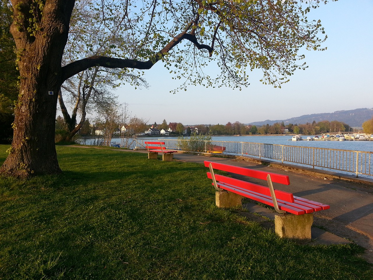 通讯｜感受马耳他中国文化中心里的新春庙会.