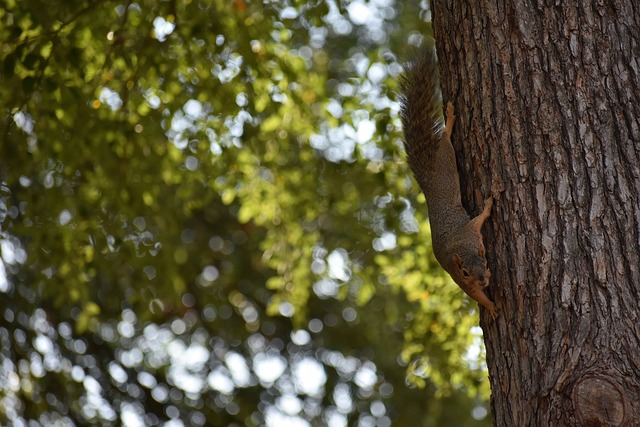 大的心理素 大的心理素